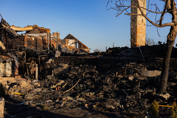 Reliable Emergency Fire Damage Restoration contractor in Hanover, MN by Fire Damage Flint